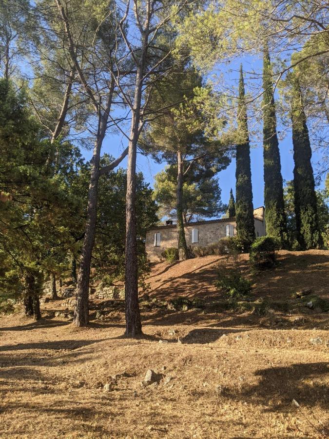 Le Clos Sous Le Chemin Seillans Exteriér fotografie